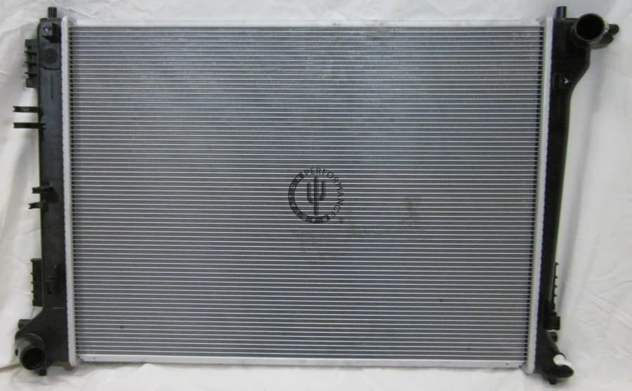 Radiator 1981