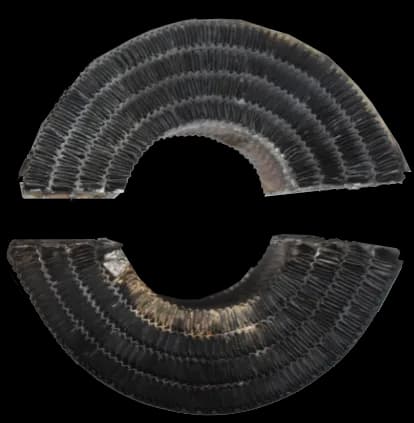 1956 Chevrolet truck round heater halves before recore